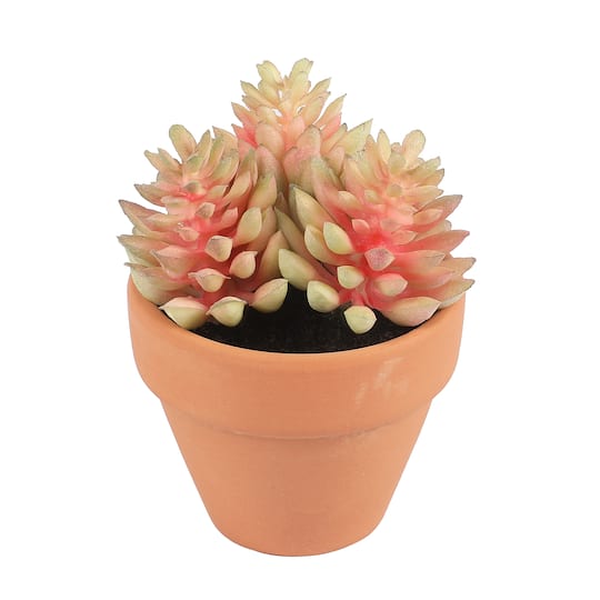 6 Packs: 6 ct. (36 total) Mixed Mini Premade Succulents in Terra Cotta Pots by Ashland®